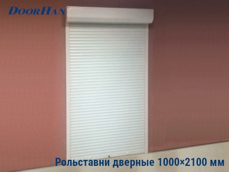 Рольставни на двери 1000×2100 мм в Кирове от 32764 руб.