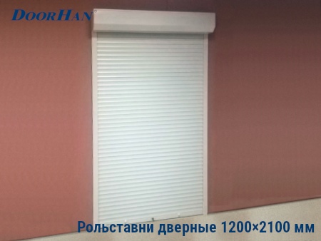 Рольставни на двери 1200×2100 мм в Кирове от 36090 руб.