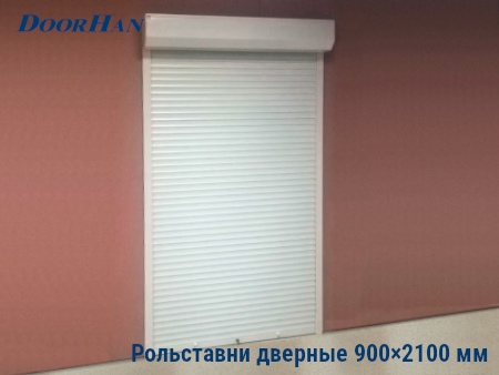 Рольставни на двери 900×2100 мм в Кирове от 31100 руб.